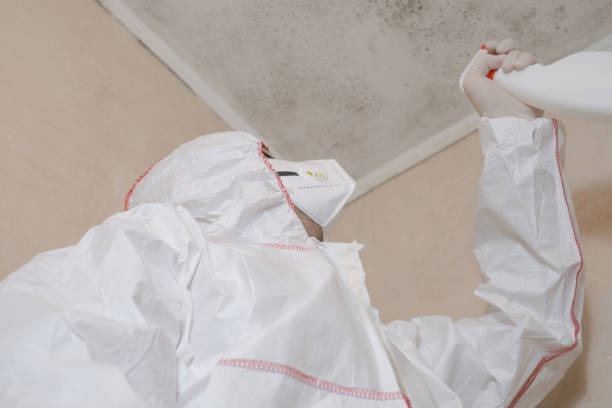 Best Crawl Space Mold Removal  in Wrightsboro, NC
