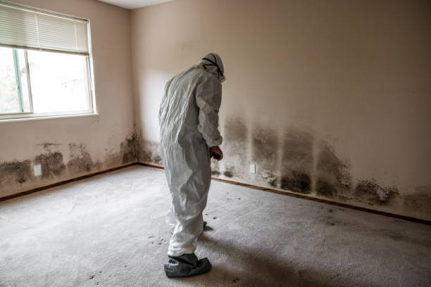 Best Mold Removal Process  in Wrightsboro, NC
